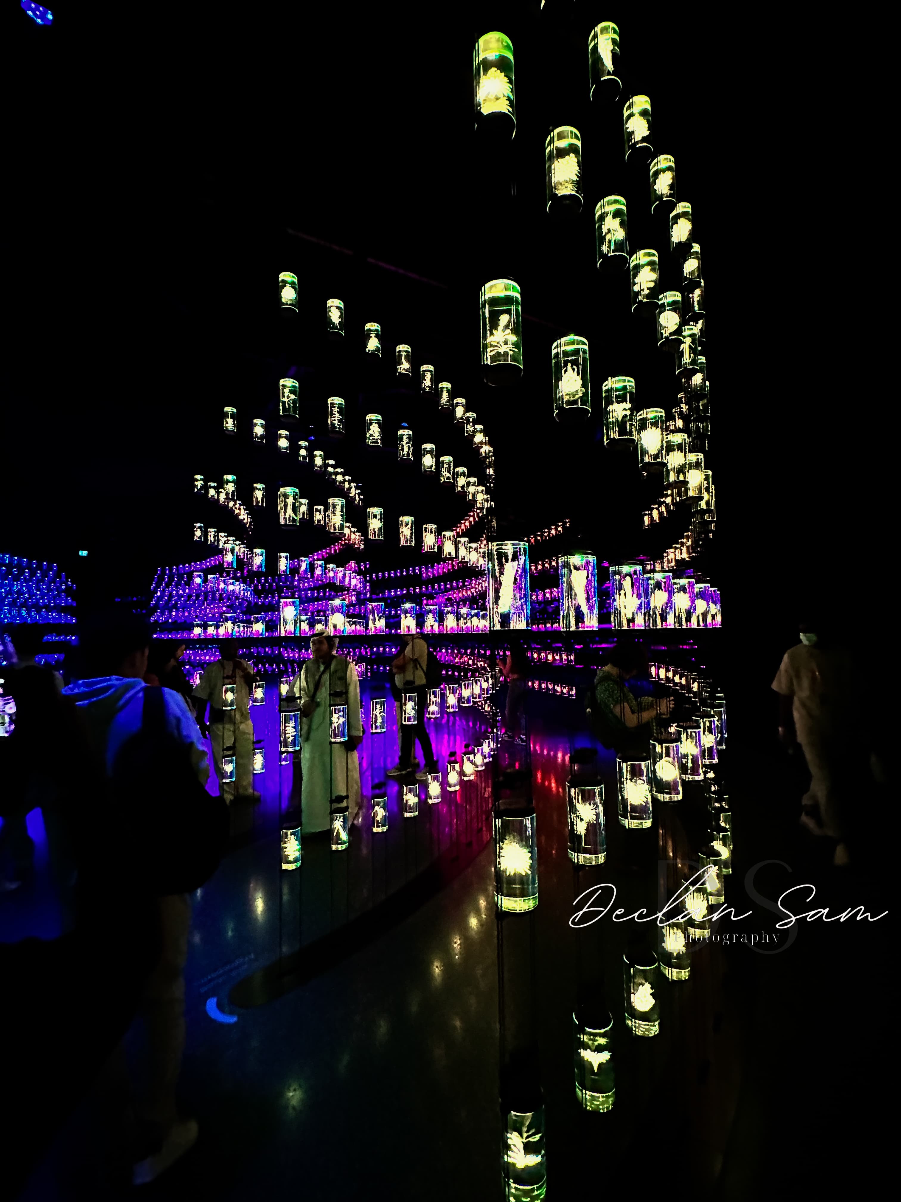 Museum of the Future